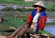 Vietnam: A farmer wearing a <i>non la</i> (Vietnamese conical hat) takes a break from planting rice